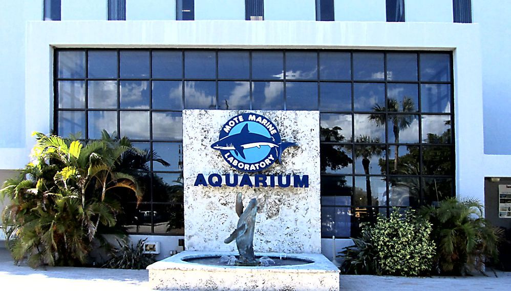 Mote Marine Aquarium